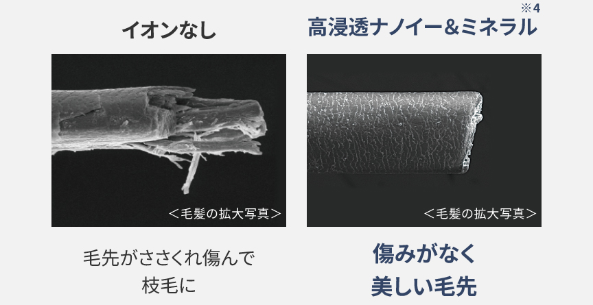 毛髪　高浸透ナノイー