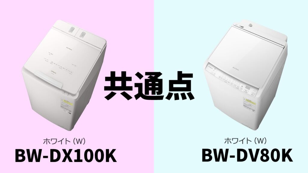 BW-DX100K-BW-DV80K-common