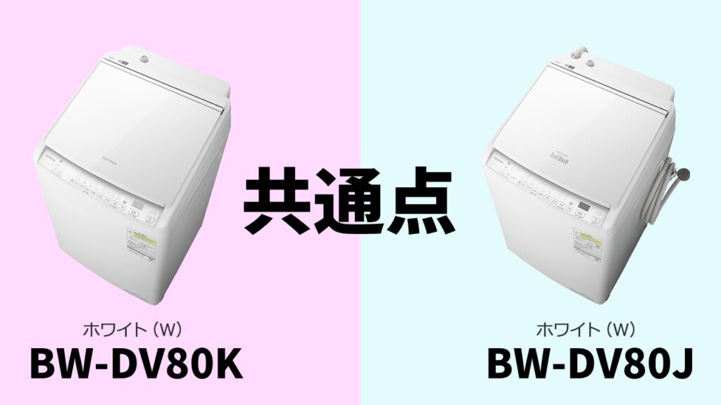 bwdv80k-bwdv80j-common