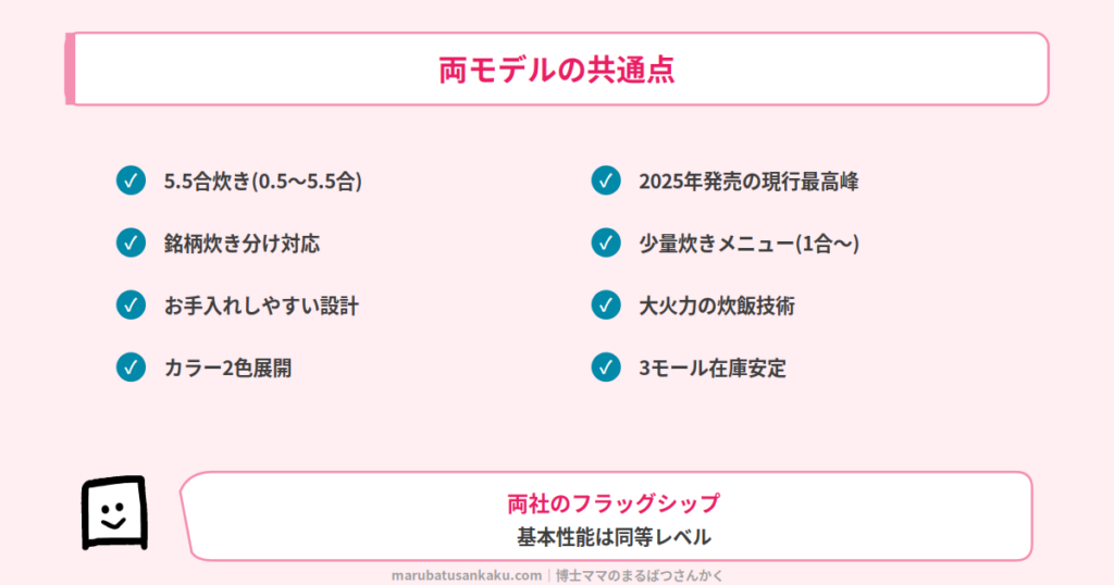 NJ-BW10HとRZ-W100JMの共通点