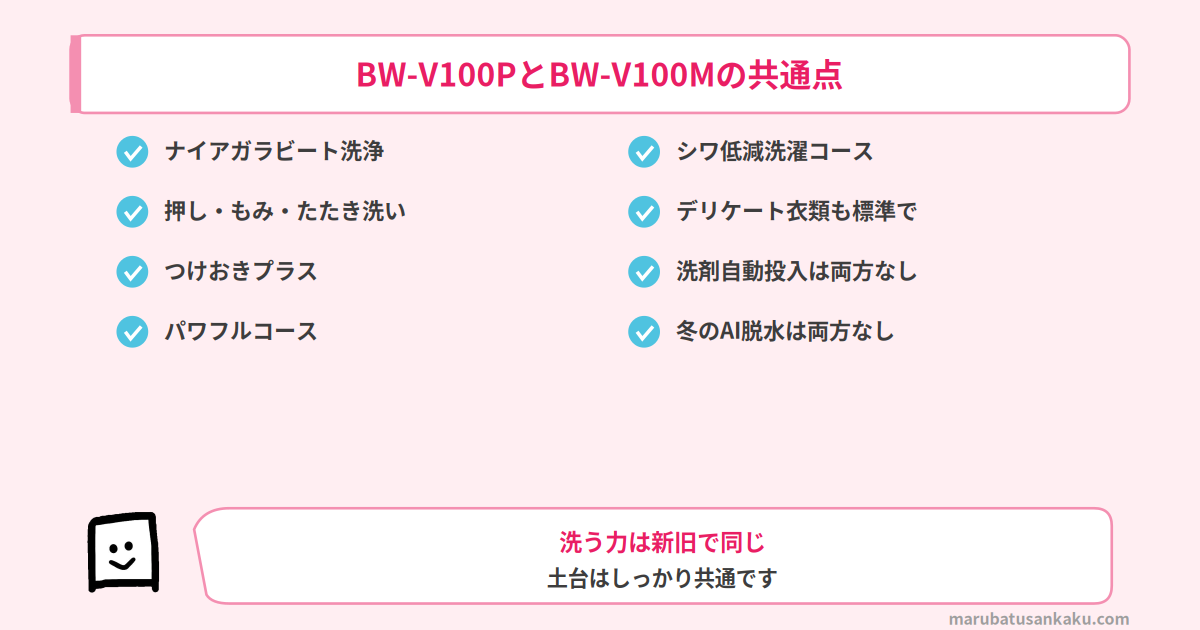 BW-V100PとBW-V100Mの共通点