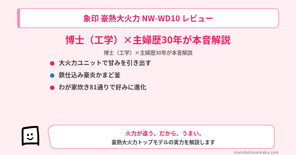 nw-wd10-review-eyecatch