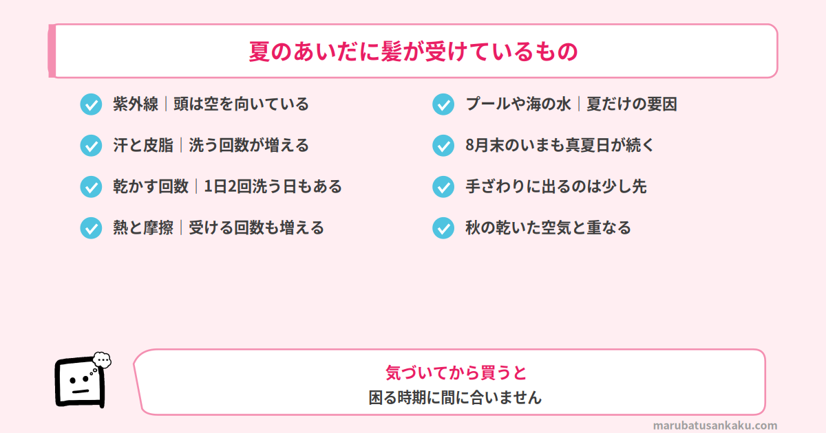 smile-sale-dryer-osusume-natsu