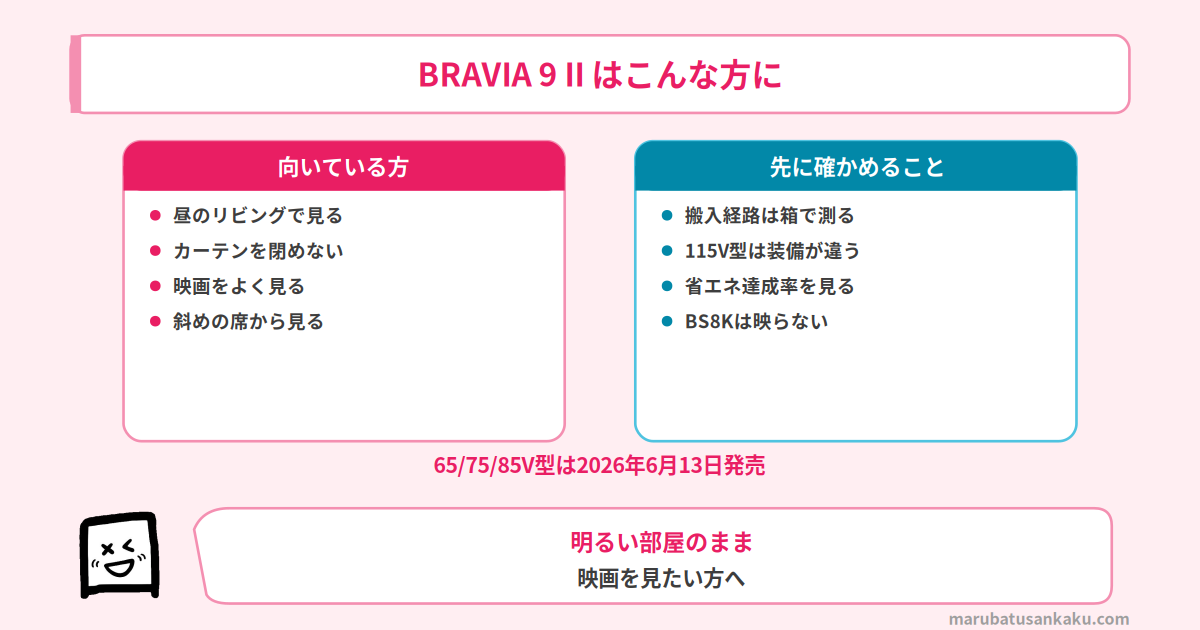 BRAVIA 9 IIのまとめ