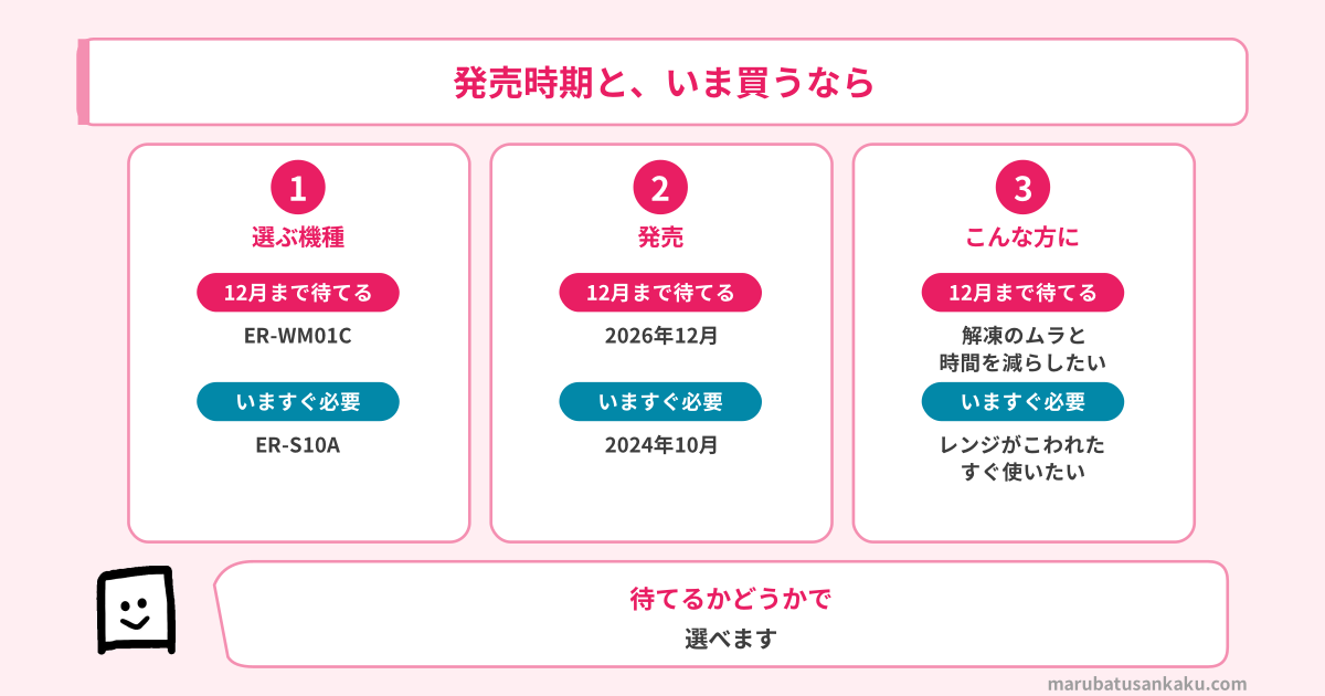 ER-WM01CとER-S10Aのちがい